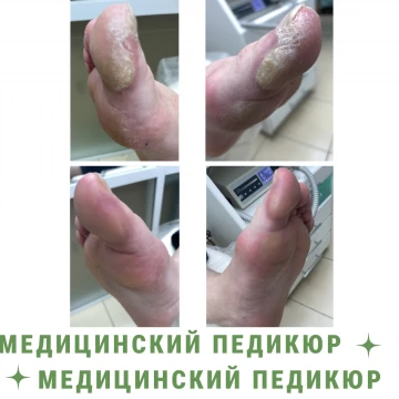 Фото работы мастера Соколова Елена